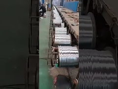Galvanized Steel Wire